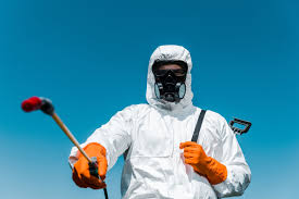 Best Pest Prevention Services  in Watervliet, MI